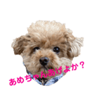 poohの年末年始（個別スタンプ：33）