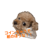 poohの年末年始（個別スタンプ：34）