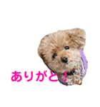 poohの年末年始（個別スタンプ：38）