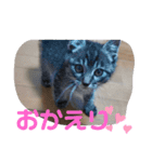 Moto猫スタンプ4(ジロー)（個別スタンプ：14）