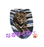 Moto猫スタンプ4(ジロー)（個別スタンプ：15）