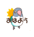 うちのボタンインコ（個別スタンプ：1）