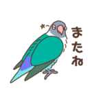 うちのボタンインコ（個別スタンプ：3）