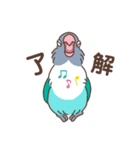 うちのボタンインコ（個別スタンプ：5）