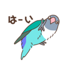 うちのボタンインコ（個別スタンプ：6）