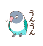 うちのボタンインコ（個別スタンプ：7）