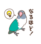 うちのボタンインコ（個別スタンプ：8）