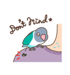 うちのボタンインコ（個別スタンプ：10）