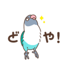 うちのボタンインコ（個別スタンプ：20）