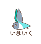 うちのボタンインコ（個別スタンプ：23）