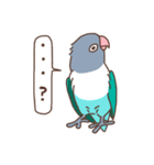 うちのボタンインコ（個別スタンプ：28）