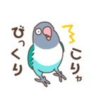 うちのボタンインコ（個別スタンプ：29）
