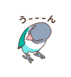 うちのボタンインコ（個別スタンプ：31）