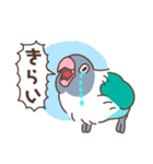 うちのボタンインコ（個別スタンプ：34）