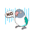 うちのボタンインコ（個別スタンプ：36）