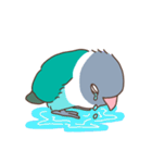 うちのボタンインコ（個別スタンプ：38）