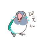 うちのボタンインコ（個別スタンプ：39）