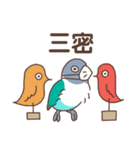 うちのボタンインコ（個別スタンプ：40）