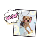 Koharu スタンプ！年末年始にも！（個別スタンプ：4）
