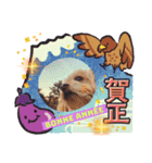 Koharu スタンプ！年末年始にも！（個別スタンプ：7）