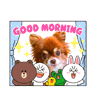 チョコちゃんスタンプ♡*(あいさつ編)（個別スタンプ：7）