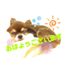 チョコちゃんスタンプ♡*(あいさつ編)（個別スタンプ：9）