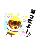 チョコちゃんスタンプ♡*(あいさつ編)（個別スタンプ：17）
