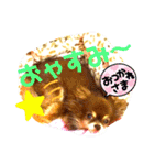 チョコちゃんスタンプ♡*(あいさつ編)（個別スタンプ：34）