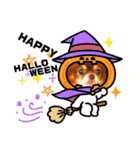 チョコちゃんスタンプ♡*(あいさつ編)（個別スタンプ：40）
