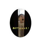 2021年最後のりまちゃん（個別スタンプ：9）