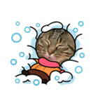 きいのスタンプ・3（個別スタンプ：1）