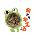 きいのスタンプ・3（個別スタンプ：7）