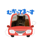 きいのスタンプ・3（個別スタンプ：8）