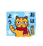 【トラねこ】トラちゃん2(冬) 毎日使える！（個別スタンプ：1）