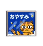 【トラねこ】トラちゃん2(冬) 毎日使える！（個別スタンプ：2）