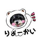 MIX犬ララさんの日常④＋（個別スタンプ：1）