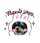 MIX犬ララさんの日常④＋（個別スタンプ：3）