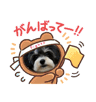 MIX犬ララさんの日常④＋（個別スタンプ：5）