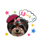MIX犬ララさんの日常④＋（個別スタンプ：11）