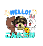 MIX犬ララさんの日常④＋（個別スタンプ：23）