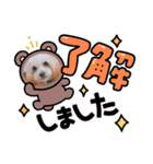 トイプードルのルフィのスタンプ（個別スタンプ：3）