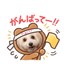 トイプードルのルフィのスタンプ（個別スタンプ：15）