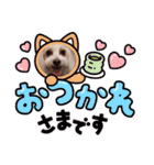 トイプードルのルフィのスタンプ（個別スタンプ：19）