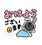 琥珀と銀次郎②（個別スタンプ：17）
