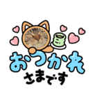 琥珀と銀次郎②（個別スタンプ：19）