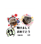 琥珀と銀次郎②（個別スタンプ：25）