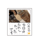 琥珀と銀次郎②（個別スタンプ：28）