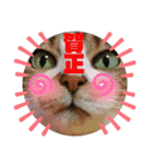 ナナエモン⑦正月っぽい（個別スタンプ：1）