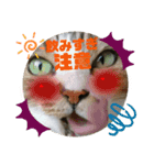 ナナエモン⑦正月っぽい（個別スタンプ：5）