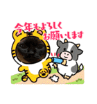 正月cats（個別スタンプ：1）